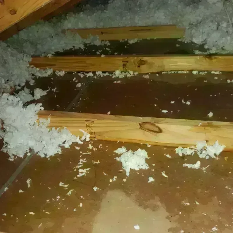 Attic Water Damage in Gilroy, CA