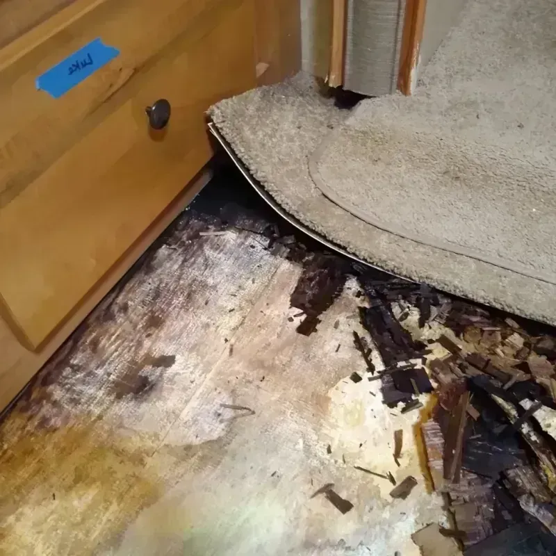 Wood Floor Water Damage in Gilroy, CA